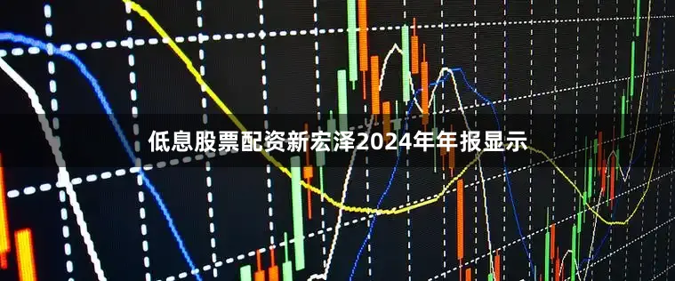 低息股票配资　　新宏泽2024年年报显示